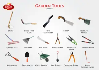 Catalogue page 79