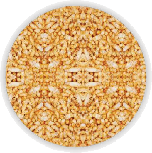 Marunda