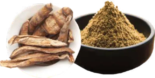 Spices