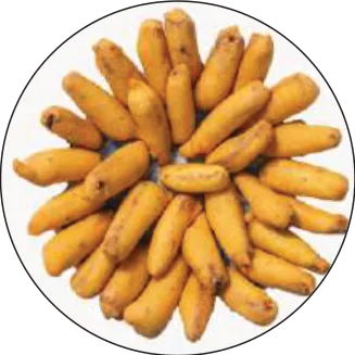 Frozen Pakoda, Curries & Breads