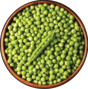 Frozen Vegetables