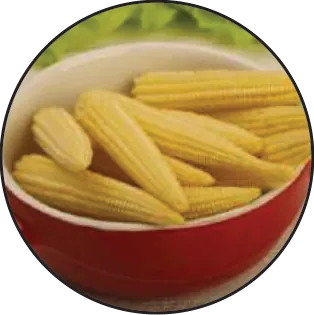 Frozen Vegetables