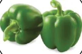 Frozen Vegetables