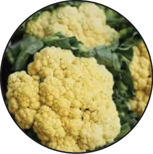 Frozen Vegetables