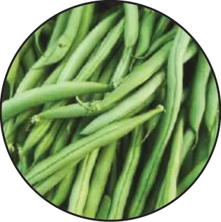 Frozen Vegetables
