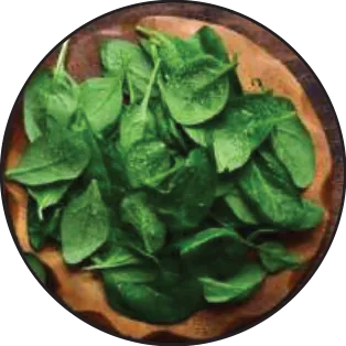 Frozen Vegetables