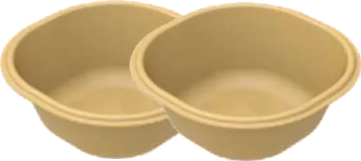 Sugar Cane Bagasse