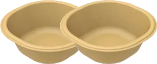 Sugar Cane Bagasse