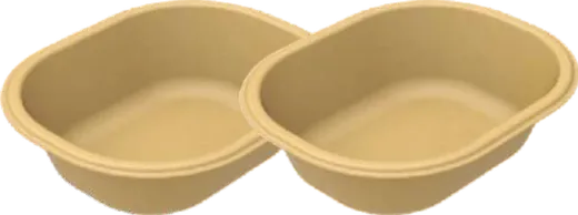 Sugar Cane Bagasse