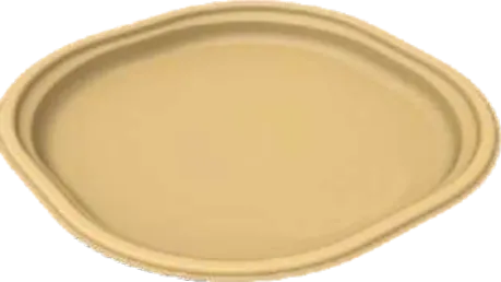 Sugar Cane Bagasse