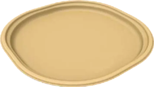 Sugar Cane Bagasse