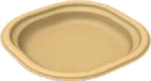 Sugar Cane Bagasse