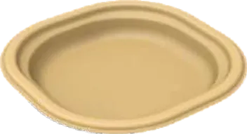 Sugar Cane Bagasse
