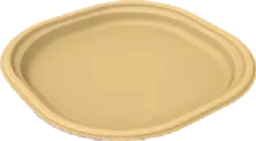 Sugar Cane Bagasse