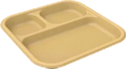 Sugar Cane Bagasse