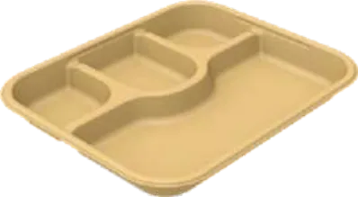 Sugar Cane Bagasse