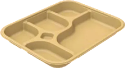 Sugar Cane Bagasse