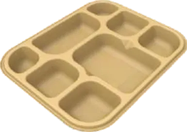 Sugar Cane Bagasse